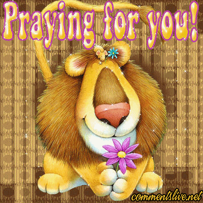 Praying Lion Picture
