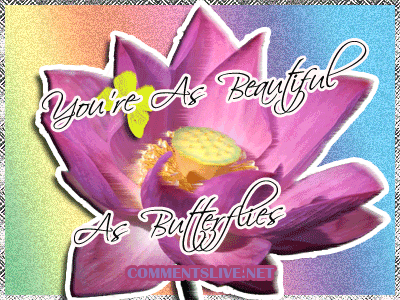 Beautiful As Butterflies Picture