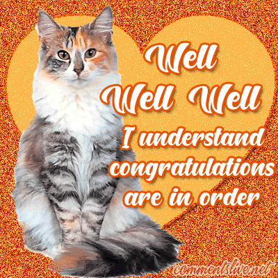 Congratulations In Order Picture