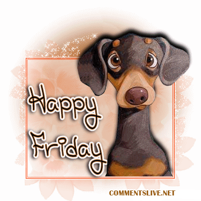 Friday Pup Picture