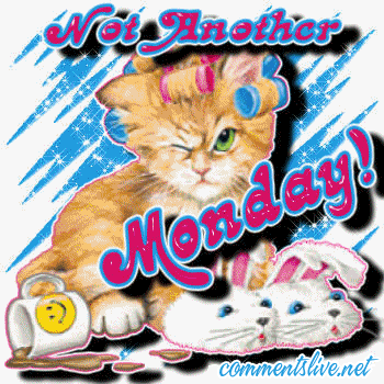 Not Monday Cat Picture
