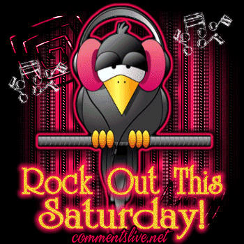 Saturday Rockin Bird Picture