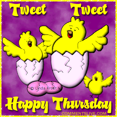 Tweet Thursday Picture