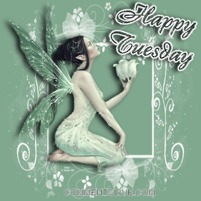 Tuesday Fairy Green Picture