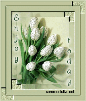 Enjoy Today Picture