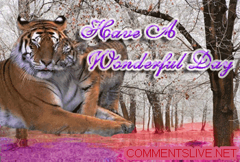 Wonderful Day Picture