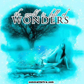 Full Of Wonders Picture