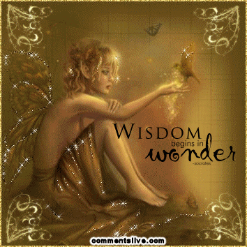 Wisdom Begins With Wonder Picture