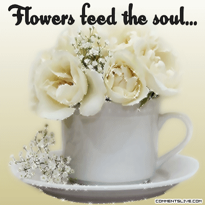 Feed Soul Picture