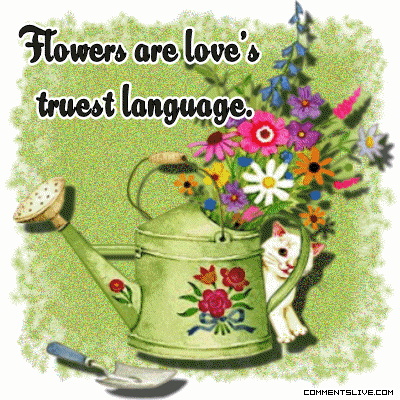 Love Language Picture