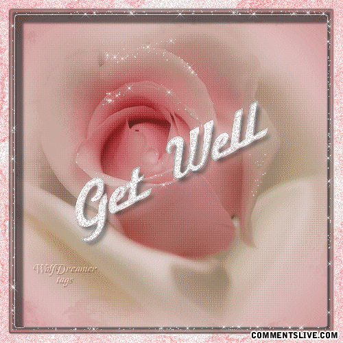 A Get Well Flower Picture