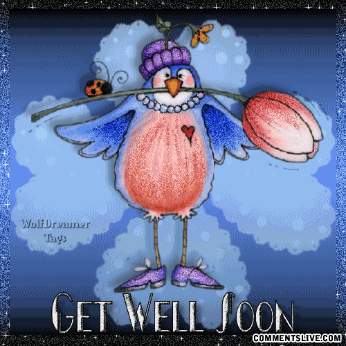 Get Well Bird Picture