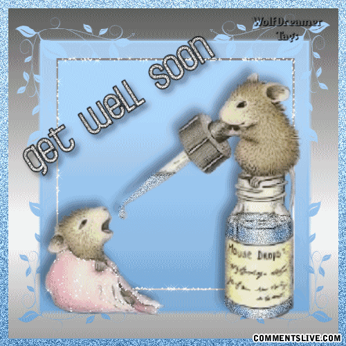 Get Well Mice Picture