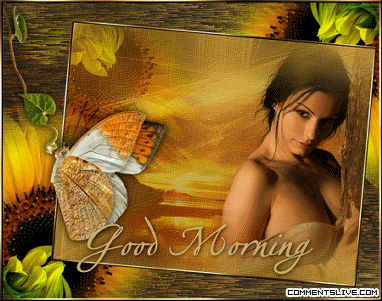 Sunflower Morning Picture