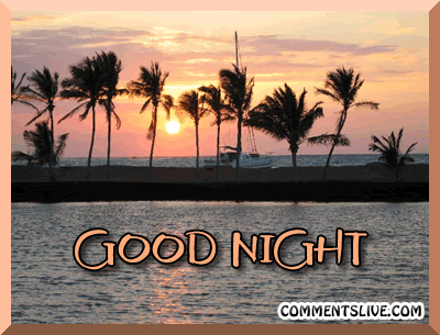 Good Night Sunset Picture