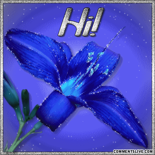 Hi Blue Picture