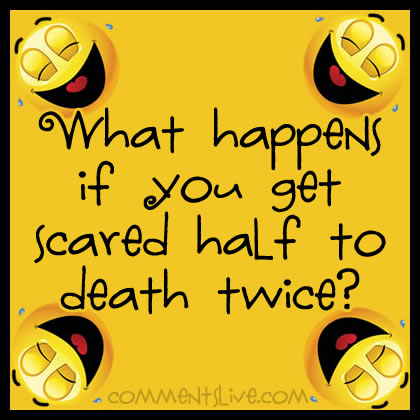 Two Halves Picture