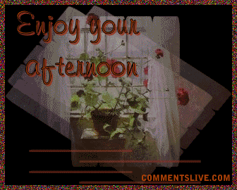Afternoon Picture