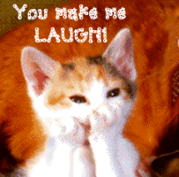 Make Me Laugh Picture