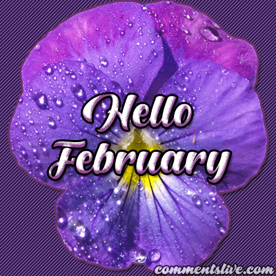 February Hello Picture