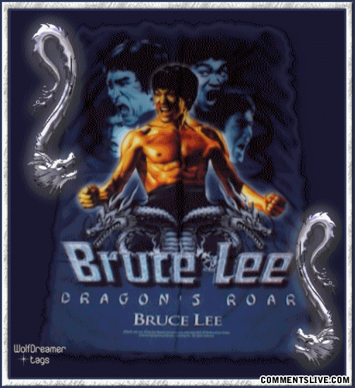 Bruce Lee Picture