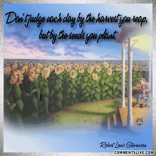 Seeds You Plant Picture