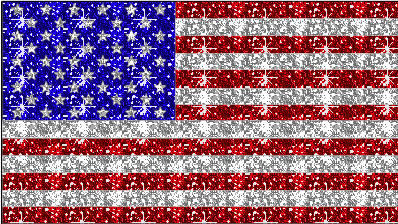 American Flag Picture