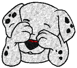 Shy Dalmation Picture