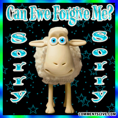 Sorry Ewe Forgive Me Picture