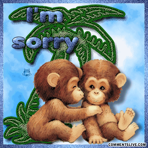 Sorry Monkey Picture