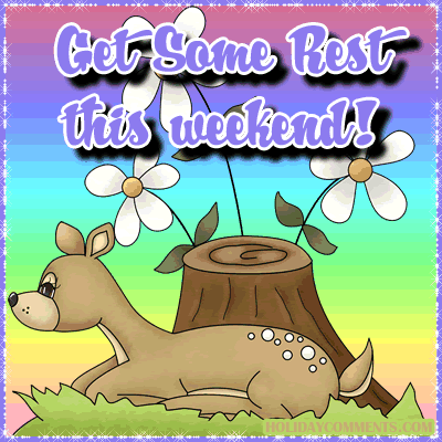 Fawn Rest Picture