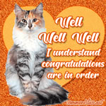 Congrats Picture