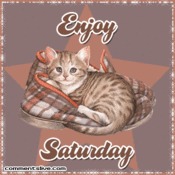 Day Saturday Picture