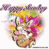 Day Sunday Picture