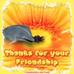Friendship Picture