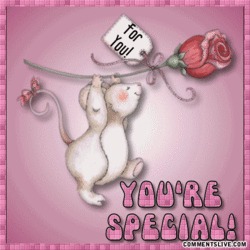 Special Picture