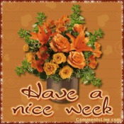 Week Picture