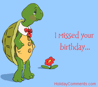Belated Turtle Picture