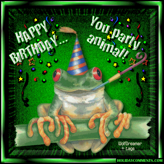 Party Animal Frog Picture