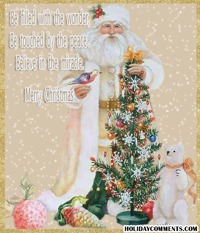 Christmas Filled With Wonde Picture