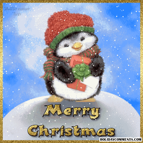 Christmas Penguin Picture