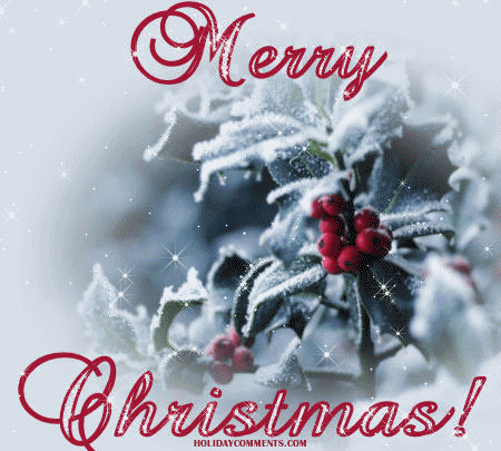 Merry Christmas Snow Picture