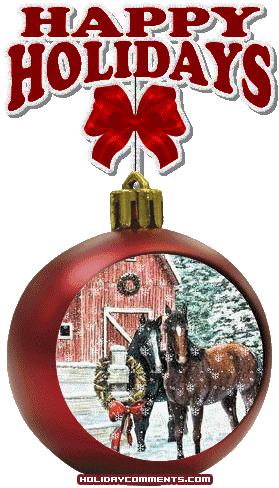 Red Christmas Horse Picture
