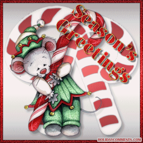 Seasons Greetings Bear Picture
