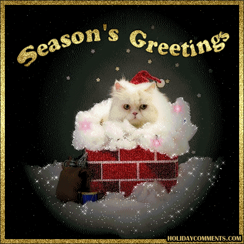 Seasons Greetings Cat Picture