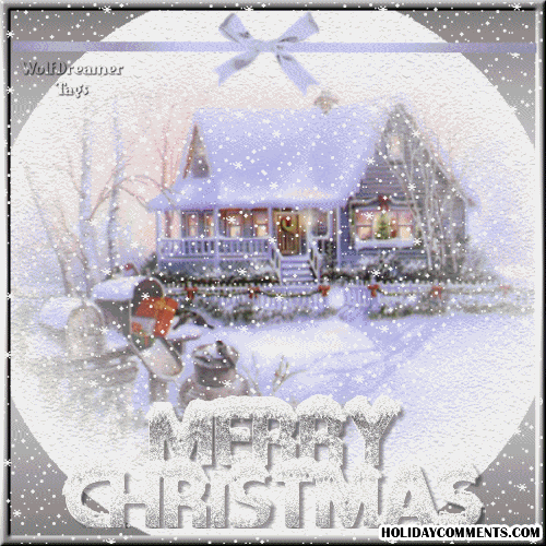 Snow Christmas Picture