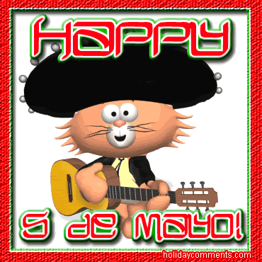 Cat Cinco De Mayo Picture