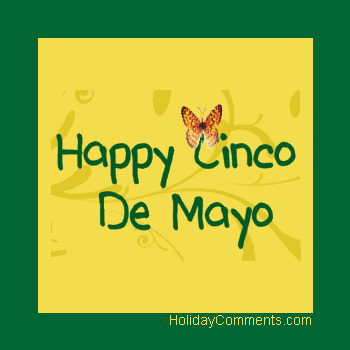 Cinco De Mayo Butterfly Picture