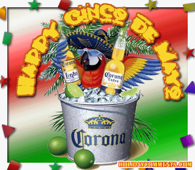 Cinco De Mayo Parrot Picture