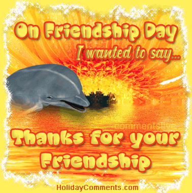 Dolphin Friendship Picture